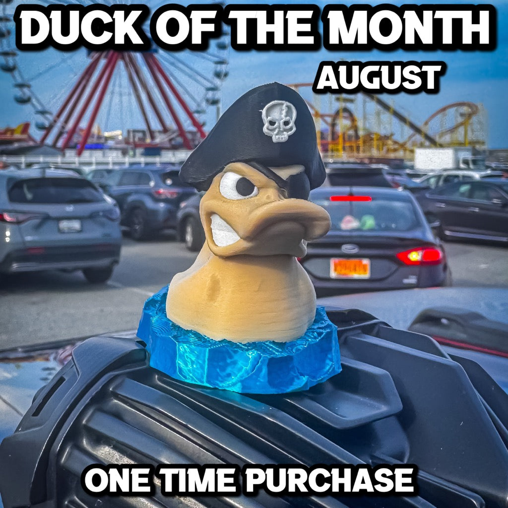 Duck of the Month - August