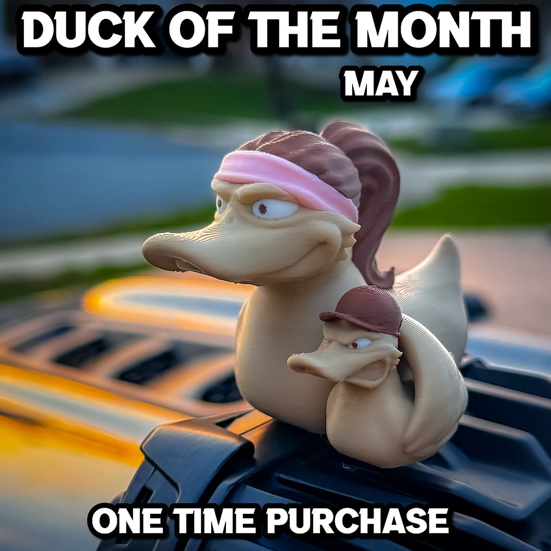 Duck of the Month - May
