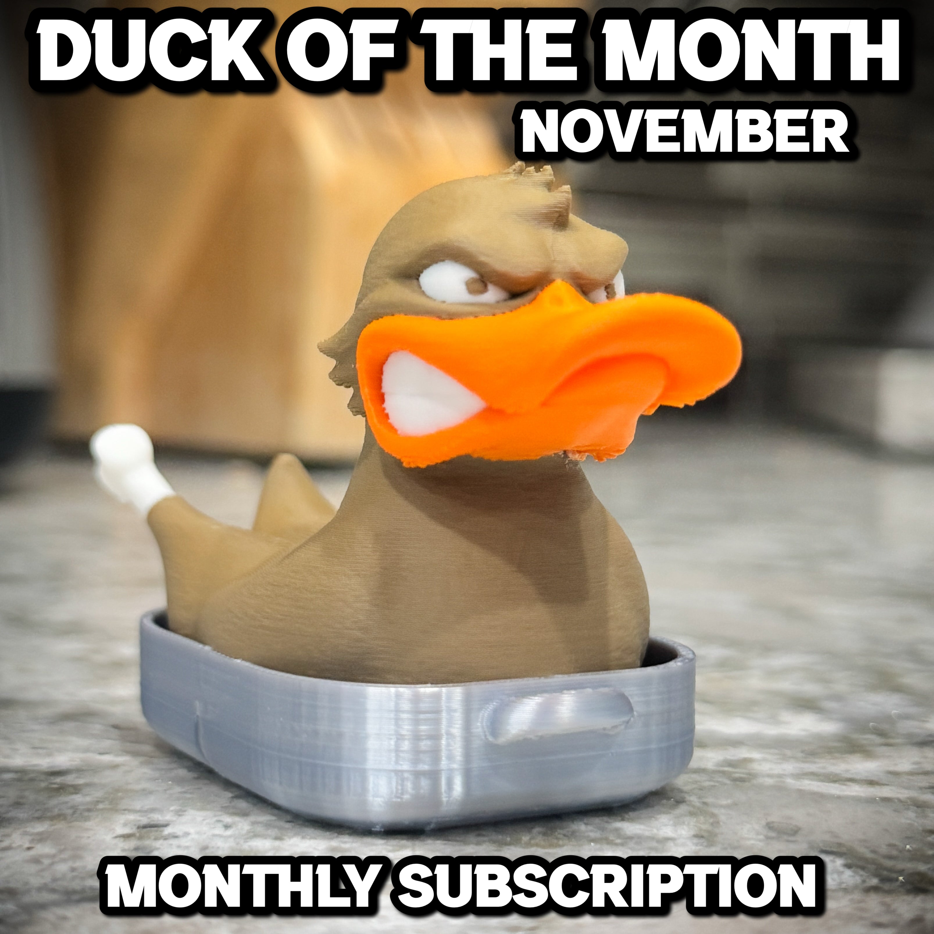 Rubber duck with large orange beak on a gray surface, labeled 'Duck of the Month November' and 'Monthly Subscription'.