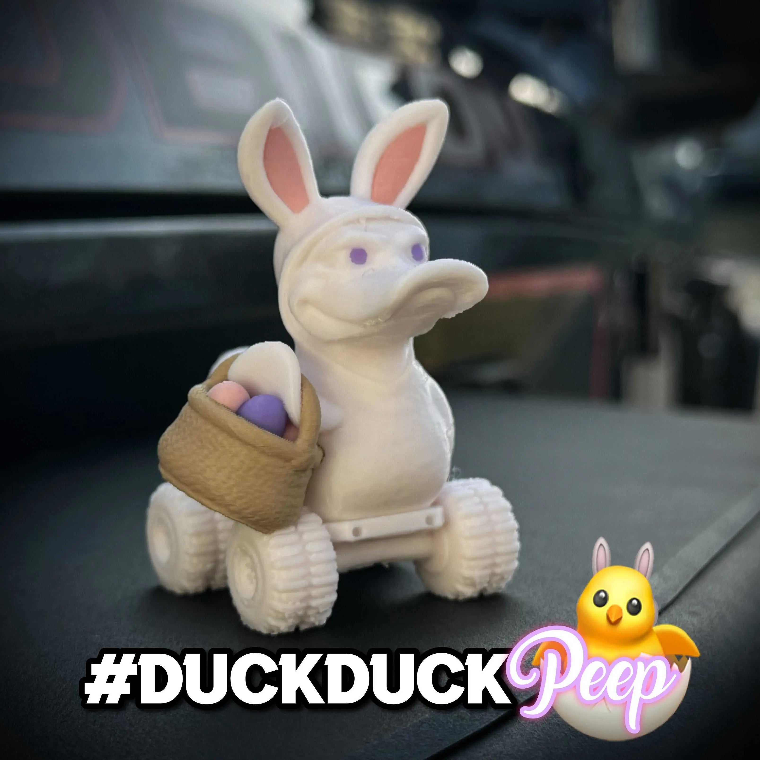 Duck of the Month - OCTOBER (Subscription)