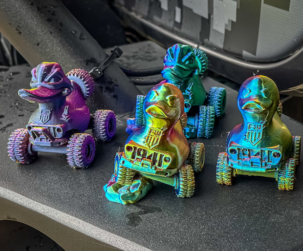 Rainbow Duck Bundle
