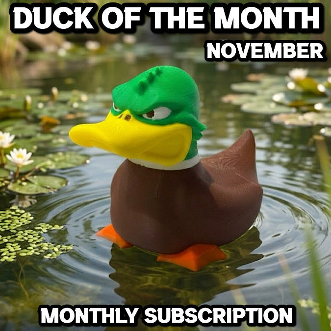 Duck of the Month - November (Subscription)