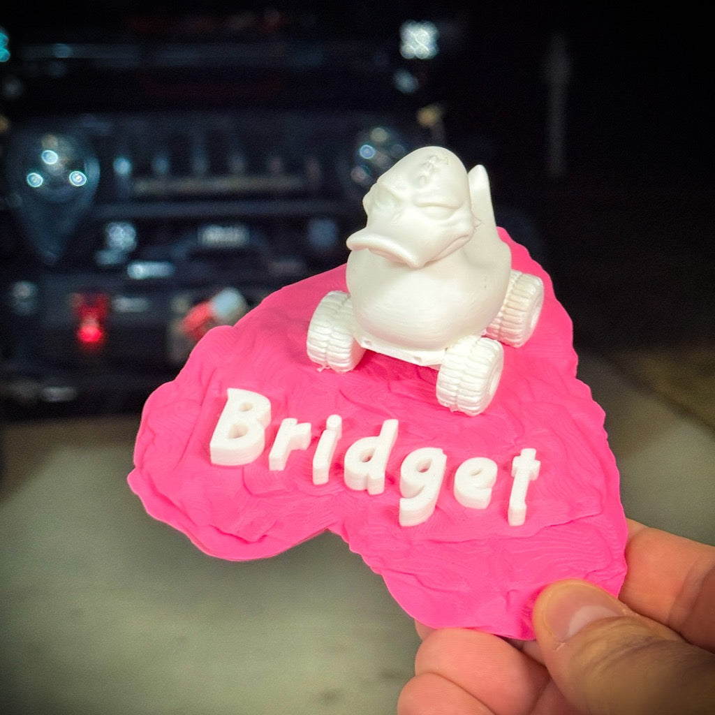 Custom Heart Duck