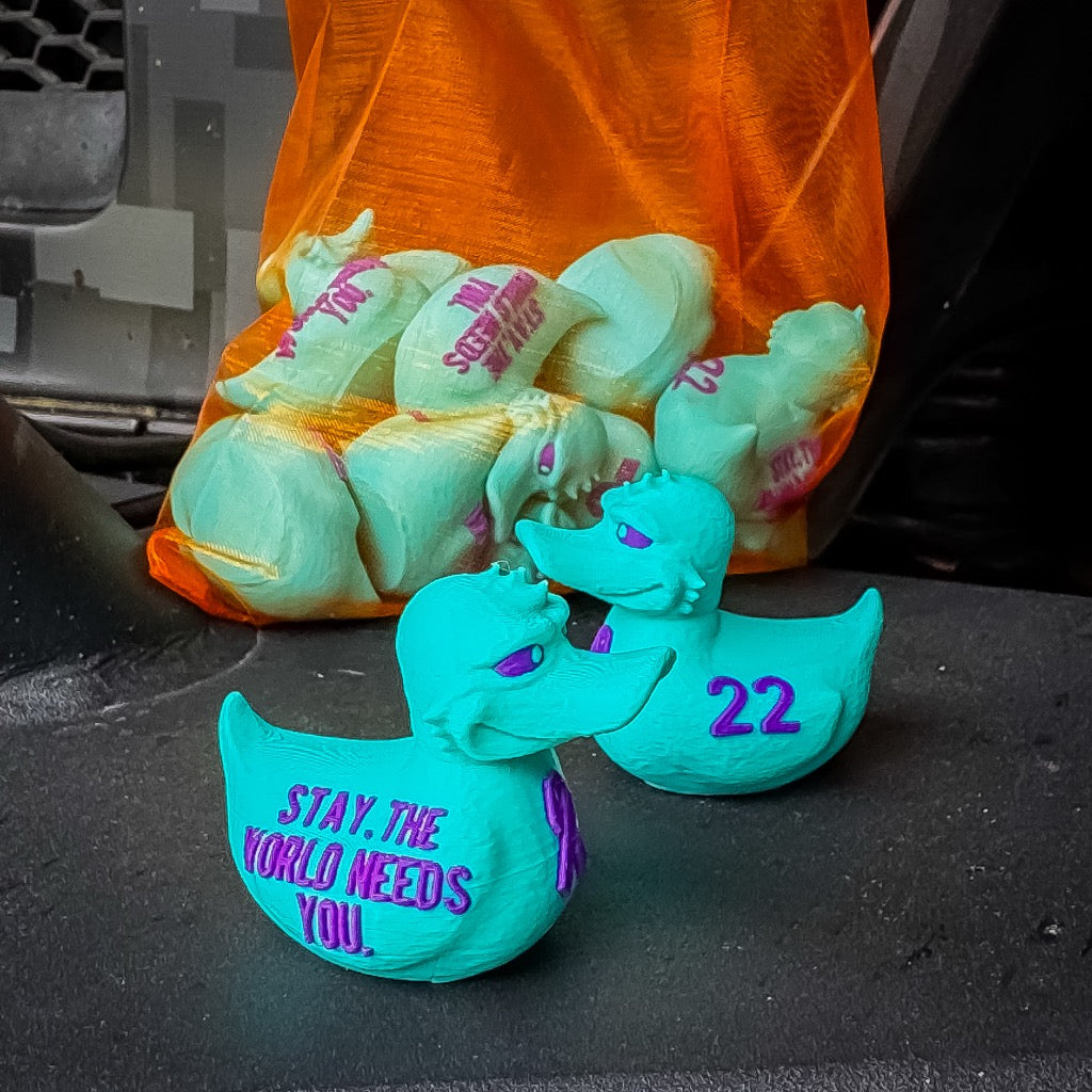 22 a Day - Limited Colors Flipped