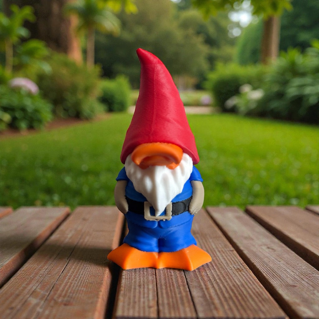 Gnome Duck