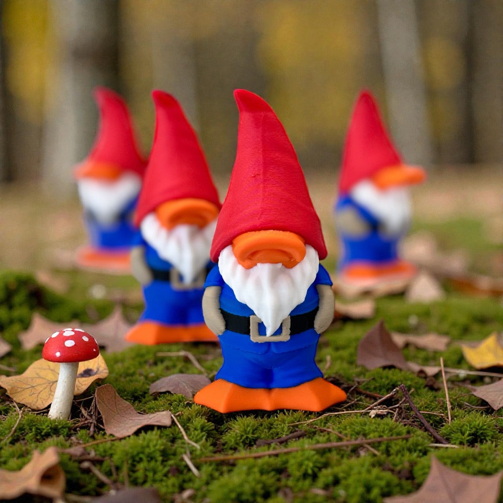 Gnome Duck